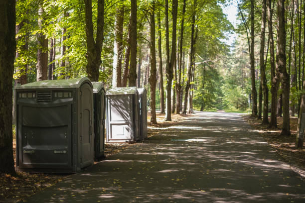 Best Local porta potty services  in Ball Pond, CT